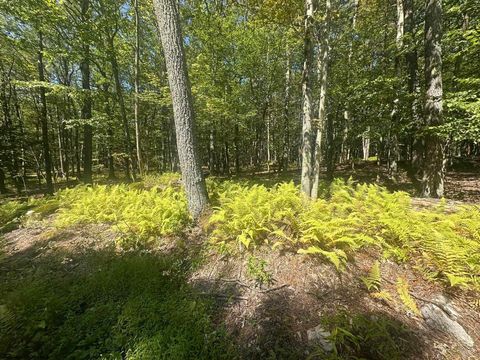 Photo of 47 Day Lily Court Lot 47 Bern, Terra Alta, WV 26764 (MLS # 10161450)