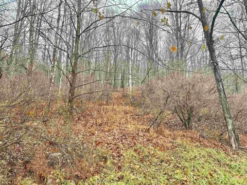 Photo of TBD Toms Run Road, Roanoke, WV 26447 (MLS # 10162849)