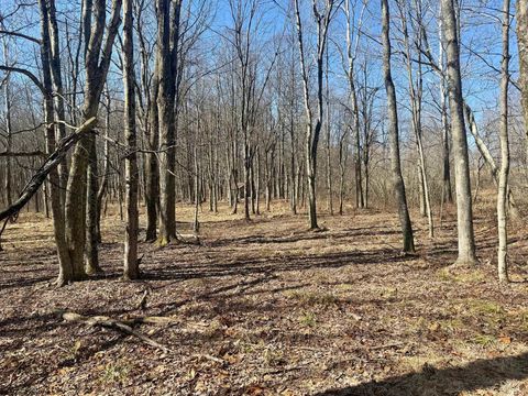 Photo of 0 Ludwig Road, Grafton, WV 26354 (MLS # 10163505)