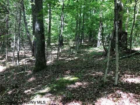 Photo of TBD Harpertown Road, Elkins, WV 26241 (MLS # 10154619)