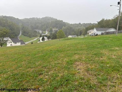 Photo of 41 Overlook Drive, Buckhannon, WV 26201 (MLS # 10156584)