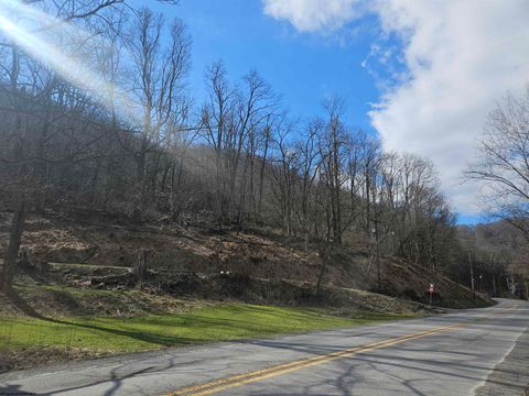 Photo of TBD W Catherine Street, Rowlesburg, WV 26425 (MLS # 10157953)