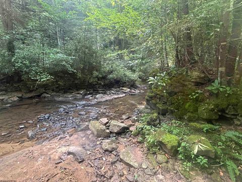 Photo of TBD Tom Turner Road, Independence, WV 26374 (MLS # 10161532)