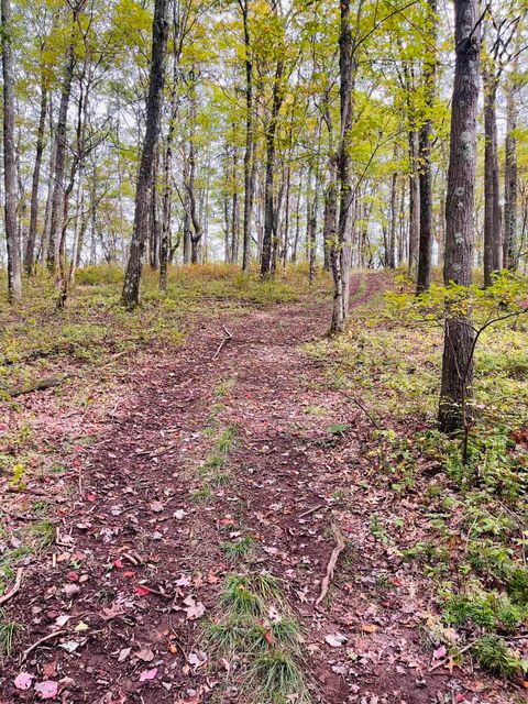 Photo of TBD Graham Lane Cranesville Road, Terra Alta, WV 26764 (MLS # 10161777)