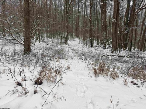Photo of TBD Abiguchee Lane, Richwood, WV 26261 (MLS # 10162915)