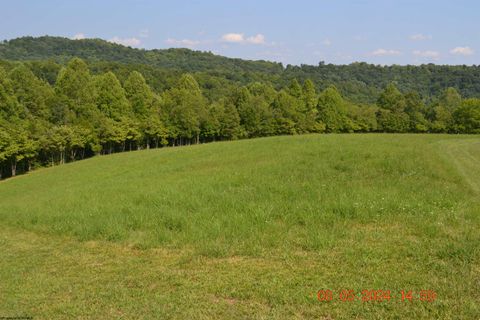 Photo of 000 Hawk's View Lane, Napier, WV 26631 (MLS # 10155690)