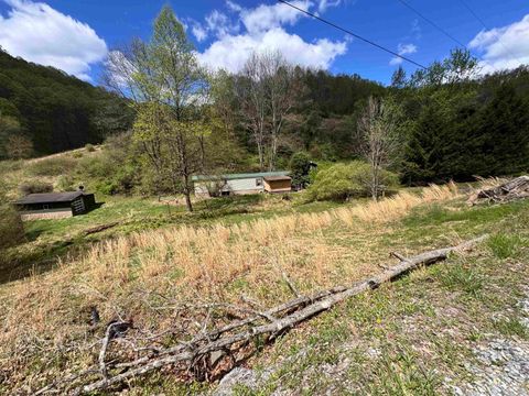 Photo of 601 Shaw Hallow Road, Wallace, WV 26448 (MLS # 10164376)