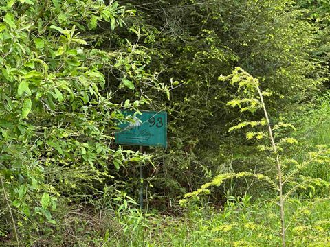 Photo of Lots 92 and 93 Gondola Court, Davis, WV 26260 (MLS # 10165112)