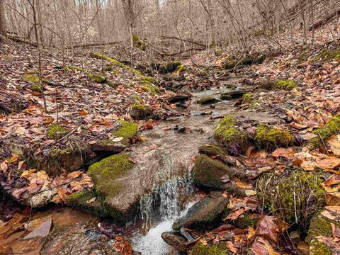 Photo of Lot 1 Red Rock Road, Rowlesburg, WV 26425 (MLS # 10163859)