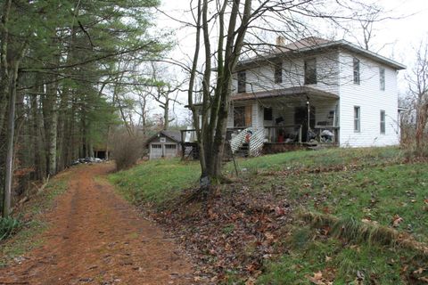 Photo of 112 Lost Lane, Camden on Gauley, WV 26208 (MLS # 10162598)