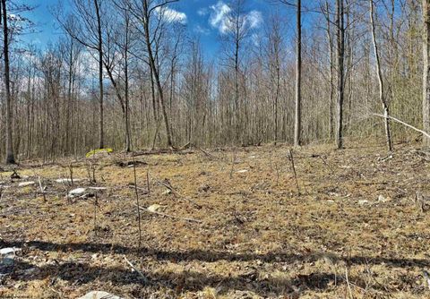 Photo of Lot 3 Brooklyn Way, Moatsville, WV 26405 (MLS # 10161351)