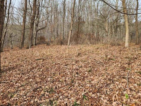 Photo of Lot 4 High Mountain Road, Harman, WV 26270 (MLS # 10157249)
