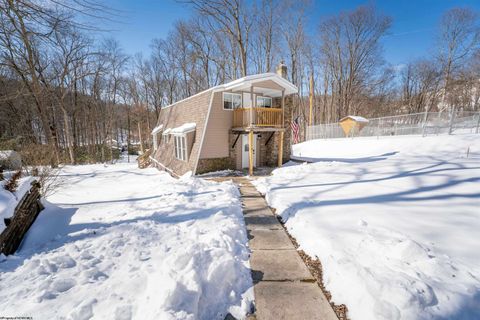 Photo of 163 Sandy Acres Drive, Bruceton Mills, WV 26525 (MLS # 10163361)
