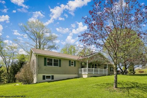 Photo of 107 Number 41 Mine Road, Thomas, WV 26292 (MLS # 10164490)