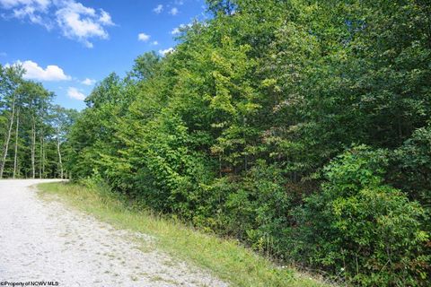 Photo of 3101 W Teter Creek Road, Belington, WV 26250 (MLS # 10163036)