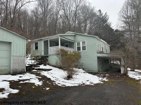 Photo of 7917 Barbour County Highway, Belington, WV 26250 (MLS # 10163402)