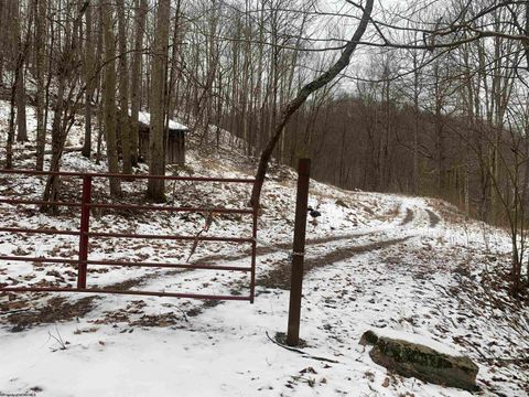 Photo of TBD Carrolton Road, Volga, WV 26238 (MLS # 10163126)