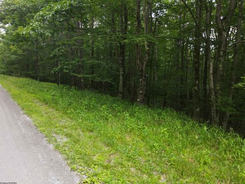 Photo of 138 Day Lily Circle, Terra Alta, WV 26764 (MLS # 10155326)