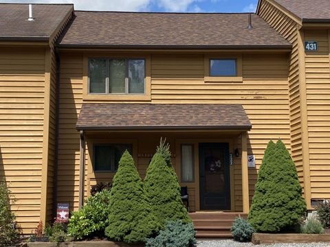 Photo of 431 Deerfield Circle #Unit, Davis, WV 26260 (MLS # 10161177)
