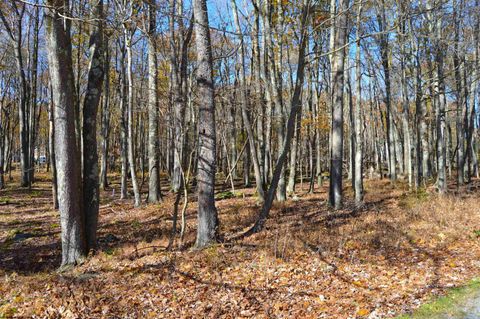 Photo of 181 E Alpine Drive, Terra Alta, WV 26764 (MLS # 10164556)