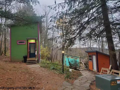 Photo of 142 Jacob Pace Street, Thomas, WV 26292 (MLS # 10163347)