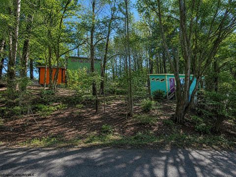 Photo of 142 Jacob Pace Street, Thomas, WV 26292 (MLS # 10163347)