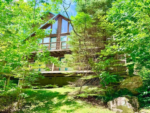 Photo of 22 Snow Run Road, Davis, WV 26260 (MLS # 10166255)