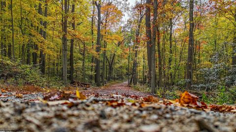 Photo of Lot 21 Snake Hill Road, Morgantown, WV 26508 (MLS # 10160384)