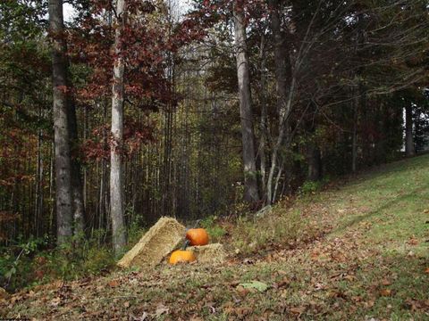 Photo of 247 Coventry Drive, Bridgeport, WV 26330 (MLS # 10162165)