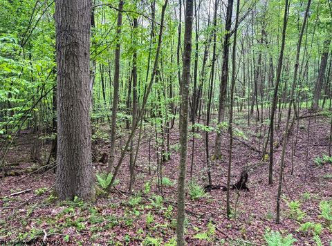 Photo of Lot 103 Laurel Loop, Bruceton Mills, WV 26525 (MLS # 10164988)