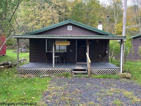 Photo of 60 Black Bear Lane, Dryfork, WV 26263 (MLS # 10163014)