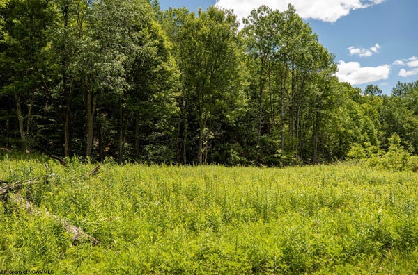 18 LAKE DR, BUCKHANNON, WV 26201 - Image 97ef5bf8f3f97d9b2c804d7aef9aa607/2982425195