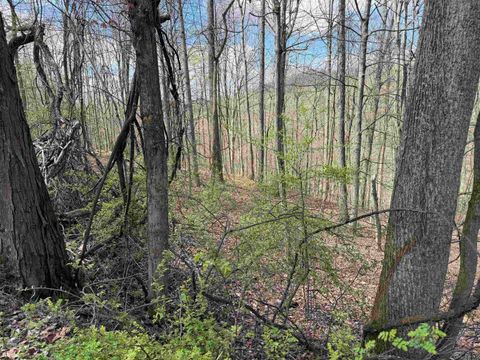 Photo of TBD Behlar Road, Maidsville, WV 26570 (MLS # 10164365)