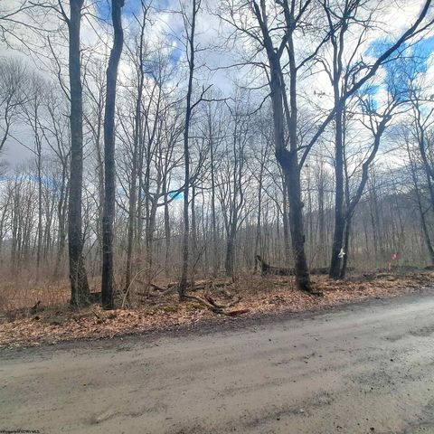 Photo of TBD Glade Run Road, Albright, WV 26519 (MLS # 10163623)