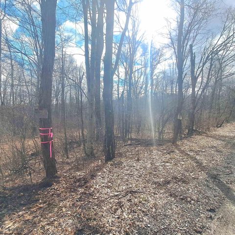 Photo of TBD Glade Run Road, Albright, WV 26519 (MLS # 10163623)