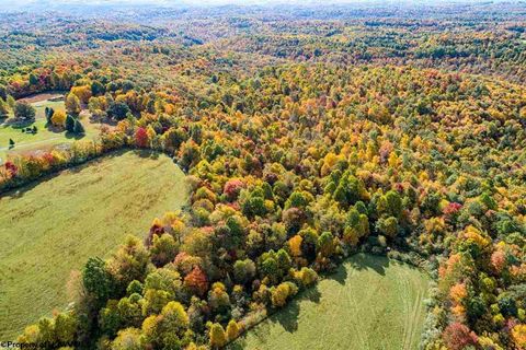 Photo of 17688 Veterans Memorial Highway, Kingwood, WV 26537 (MLS # 10164626)