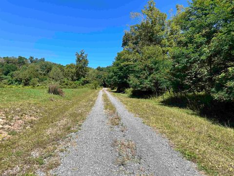 Photo of Lot 11 Alpenglow Ridge Drive, Dryfork, WV 26260 (MLS # 10151097)