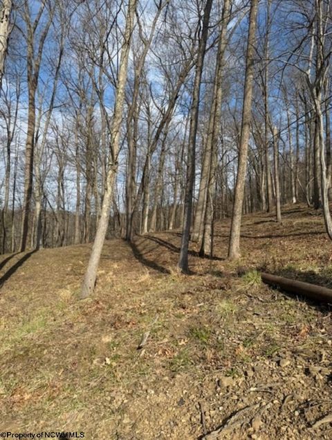 Photo of tbd Windsor Road, Bridgeport, WV 26330 (MLS # 10163980)