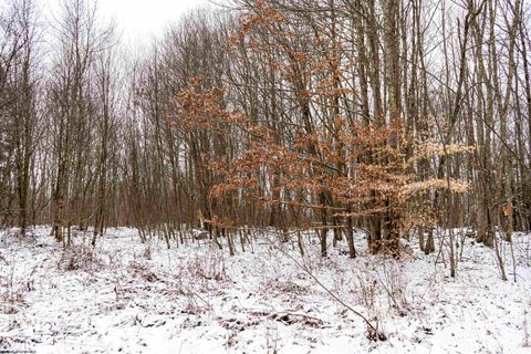 Photo of Lot 1 Shady Grove Road, Bruceton Mills, WV 26525 (MLS # 10163123)