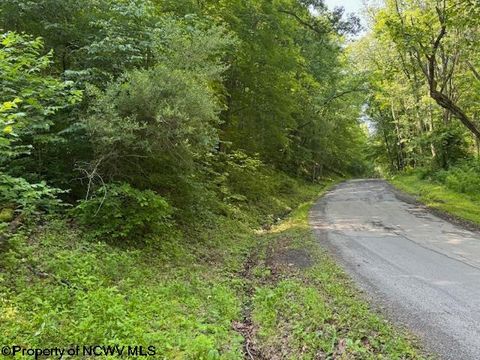 Photo of TBD Iron Town Road, Independence, WV 26374 (MLS # 10160083)