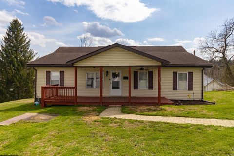 Photo of 239 N Virginia Avenue, Bridgeport, WV 26330 (MLS # 10164014)