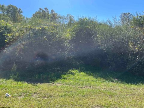 Photo of TBA Maple Street, Jane Lew, WV 26378 (MLS # 10162365)