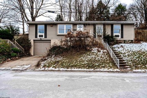 Photo of 338 Jackson Avenue, Morgantown, WV 26501 (MLS # 10163147)