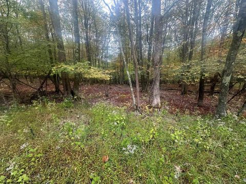 Photo of Lots 27 & 28 Alpine Drive Lot 27 & 28 Innsbruck Section, Terra Alta, WV 26764 (MLS # 10161788)