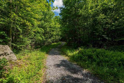 Photo of 3091B Pleasantdale Road, Kingwood, WV 26537 (MLS # 10165457)