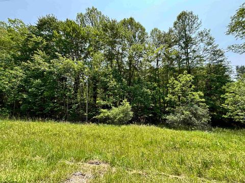 Photo of 00 BARBOUR COUNTY Highway, Philippi, WV 26416 (MLS # 10159844)