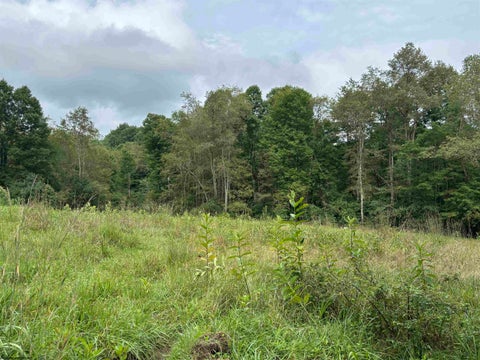 Photo of 96 Donnie Hill Road, Belington, WV 26250 (MLS # 10166450)