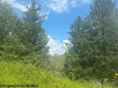 Photo of TBD Barbour County Highway, Belington, WV 26250 (MLS # 10161169)