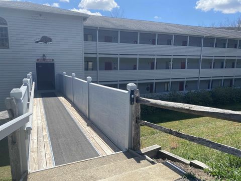 Photo of 31 Ash Lodge Court #107, Davis, WV 26260 (MLS # 10164346)