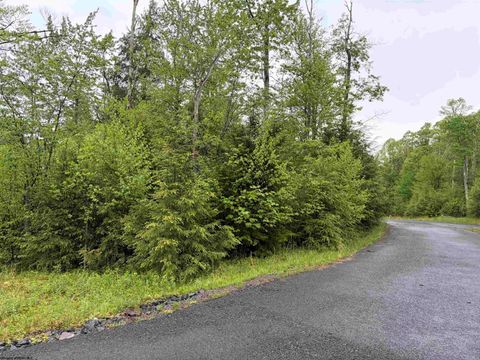 Photo of Lot 77 Bassilla Way, Davis, WV 26260 (MLS # 10164638)